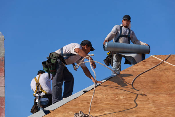 Best Roof Gutter Cleaning  in Bull Run Mountain Estates, VA